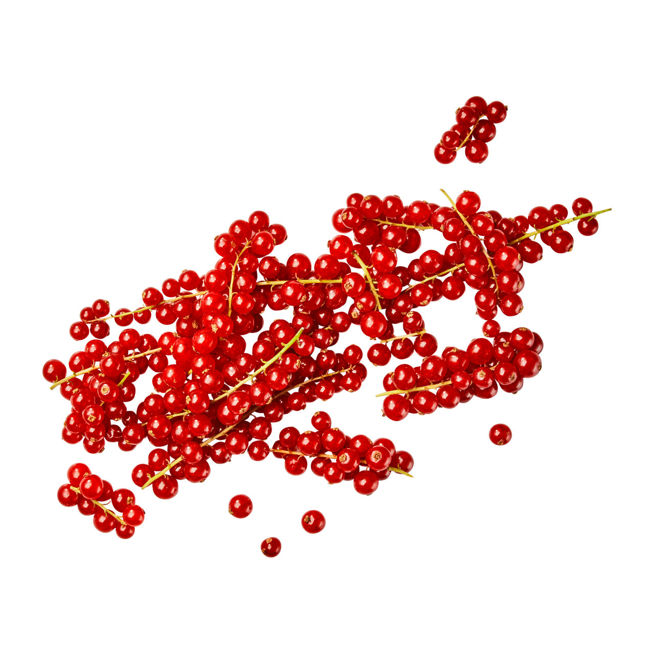 Johannisbeeren rot
