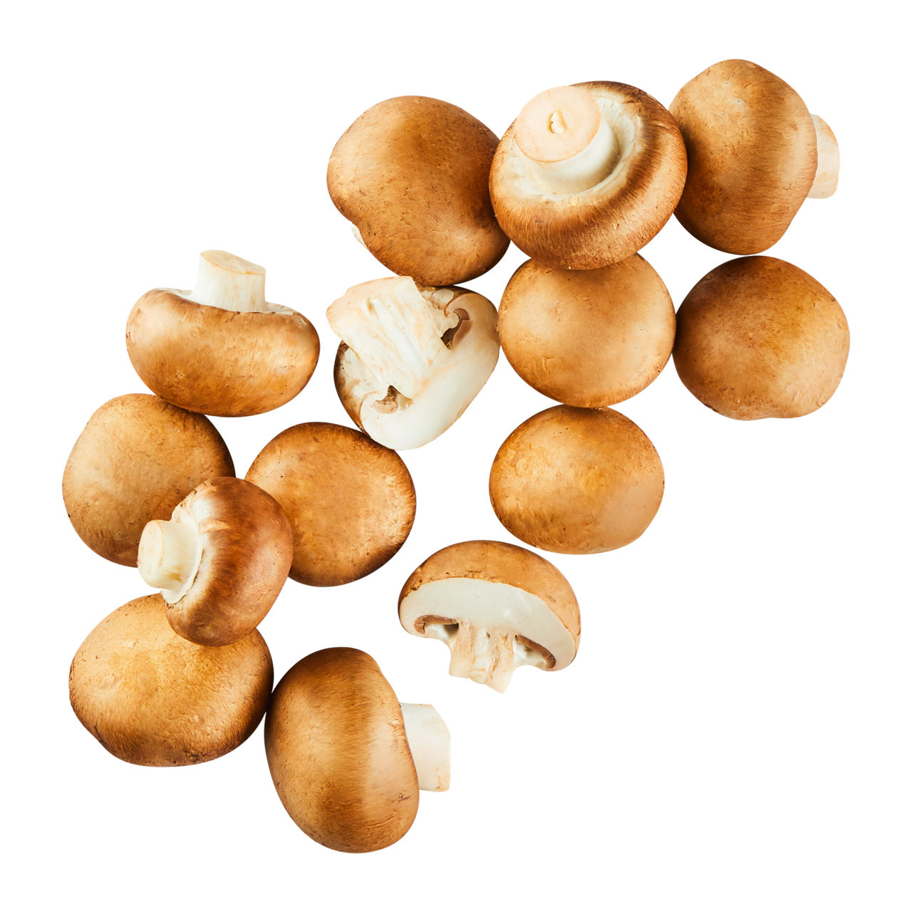 Kulturchampignons braun