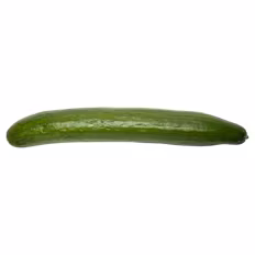 Bio-Gurke Stück