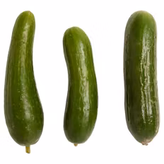 Mini-Gurken 0,28 kg