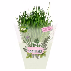 Verfügbar ab 03.09.2026 GARDENLINE Kräuter, Schnittlauch