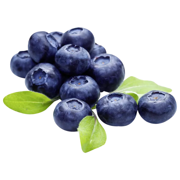 Heidelbeeren