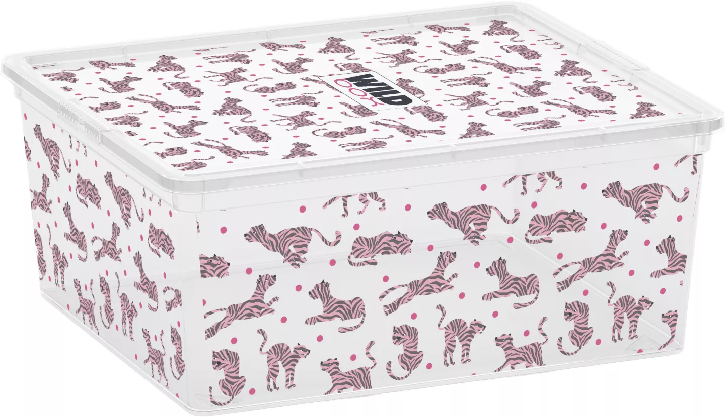 CURVER Aufbewahrungsbox »C-Box Style M«