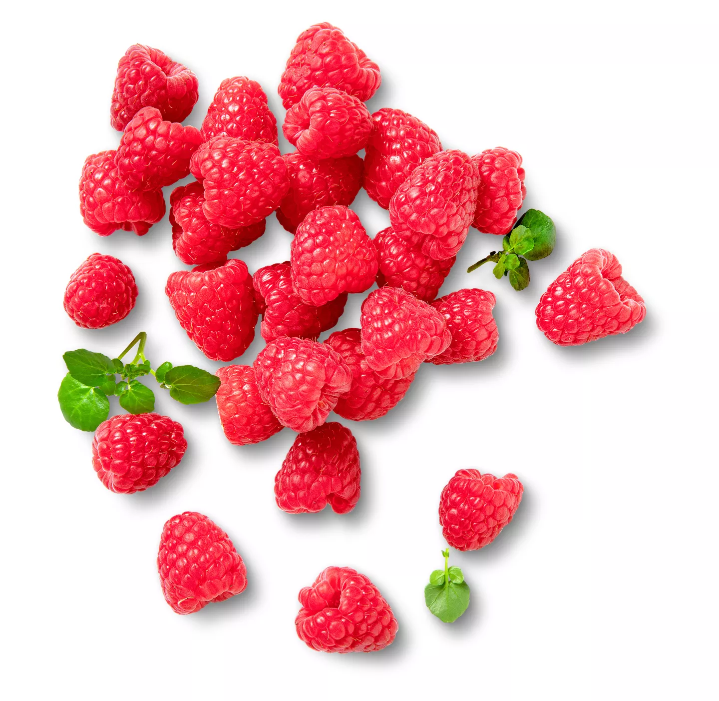 Marokk./port. Himbeeren