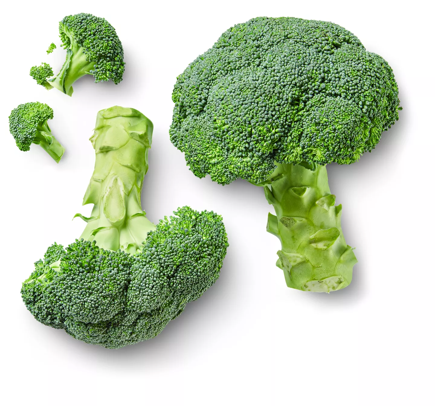 Dtsch./niederl. Broccoli
