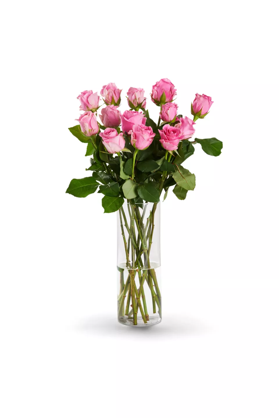 Rosenstrauß Fairtrade