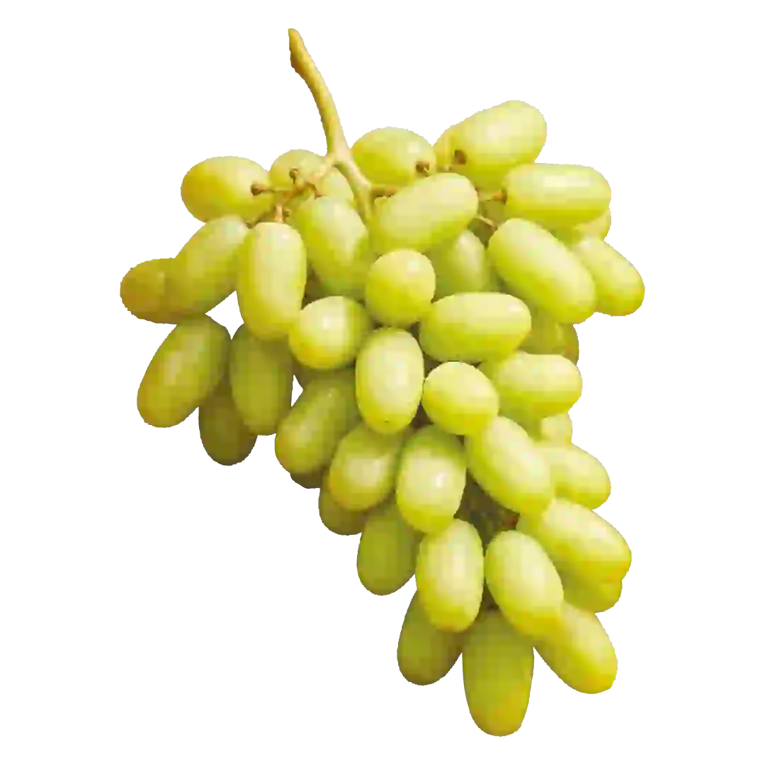 Apfel Gala Neue Ernte