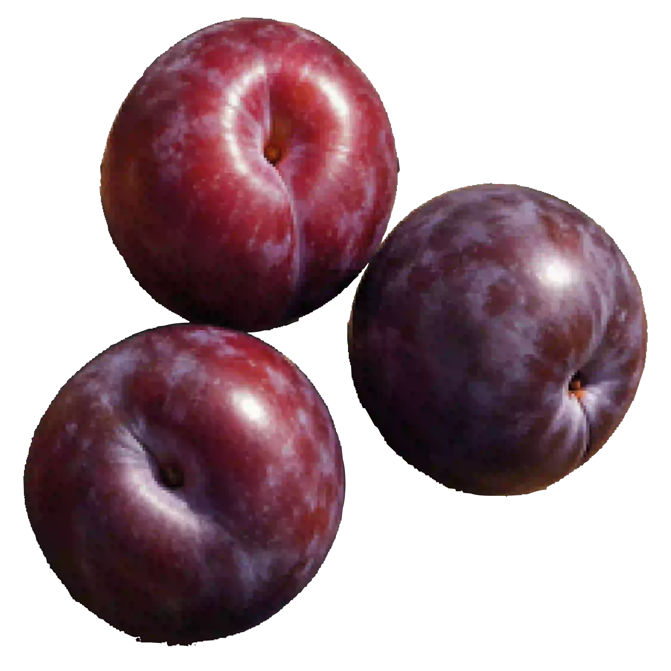 GO BIO Knoblauch