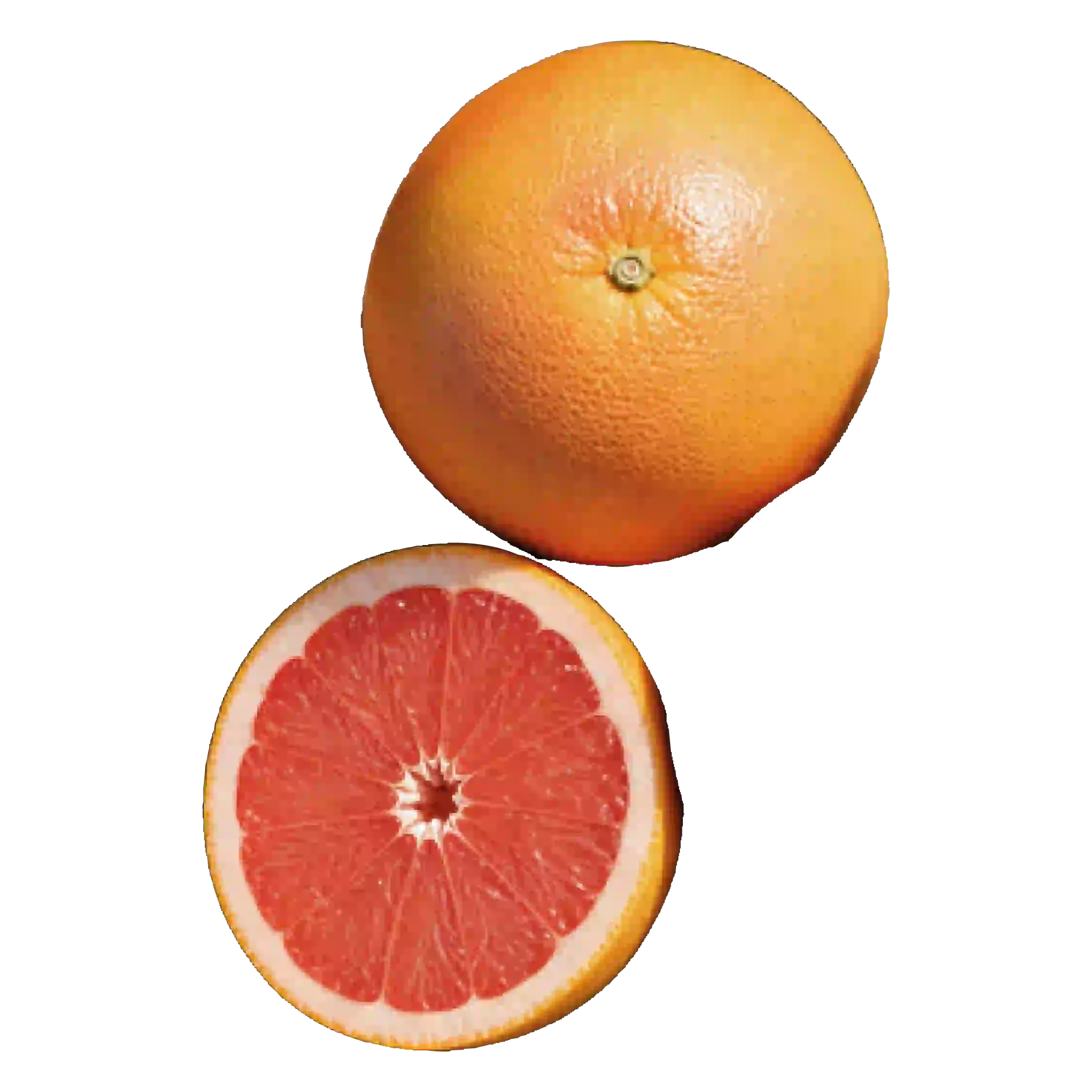 Granatapfel