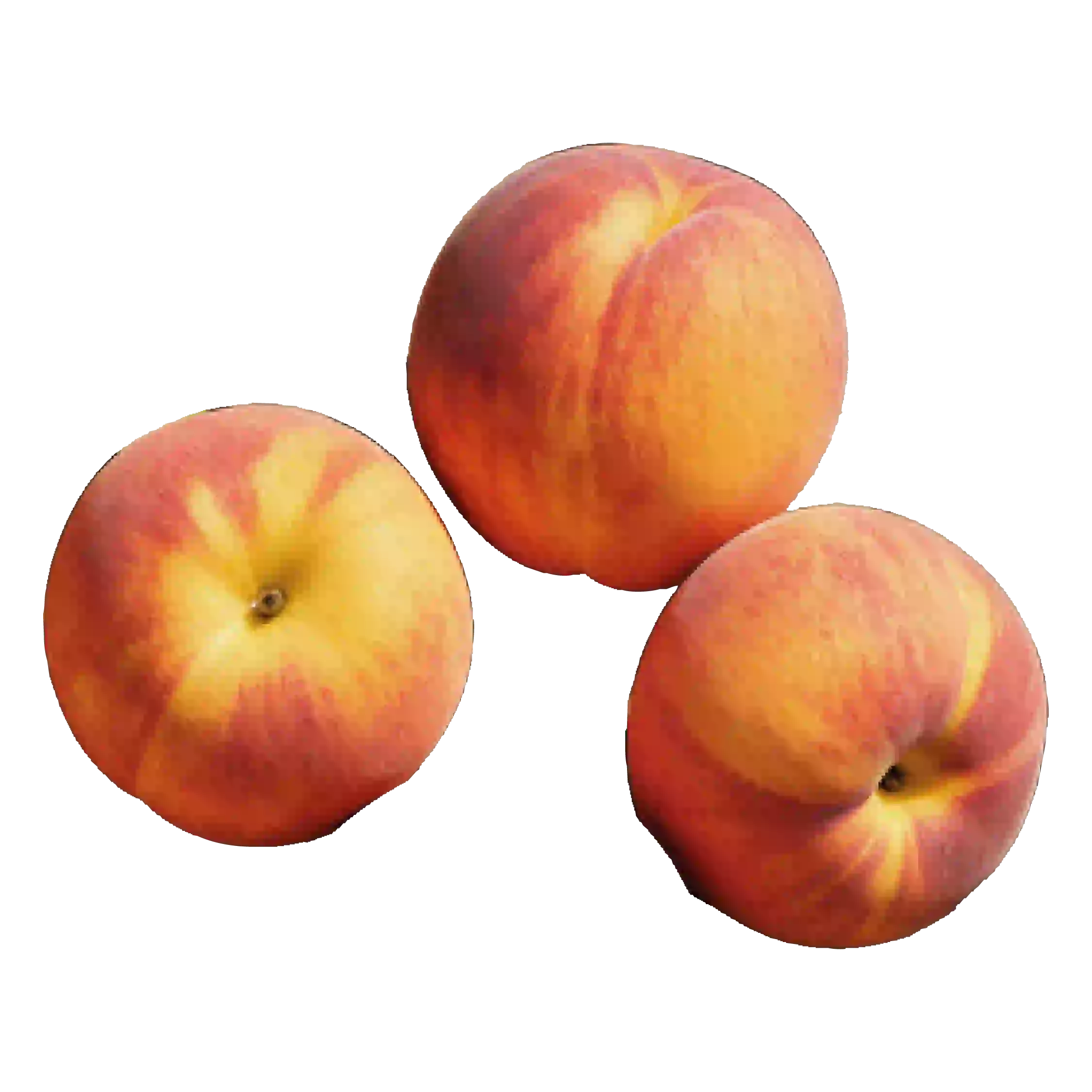 Grapefruit