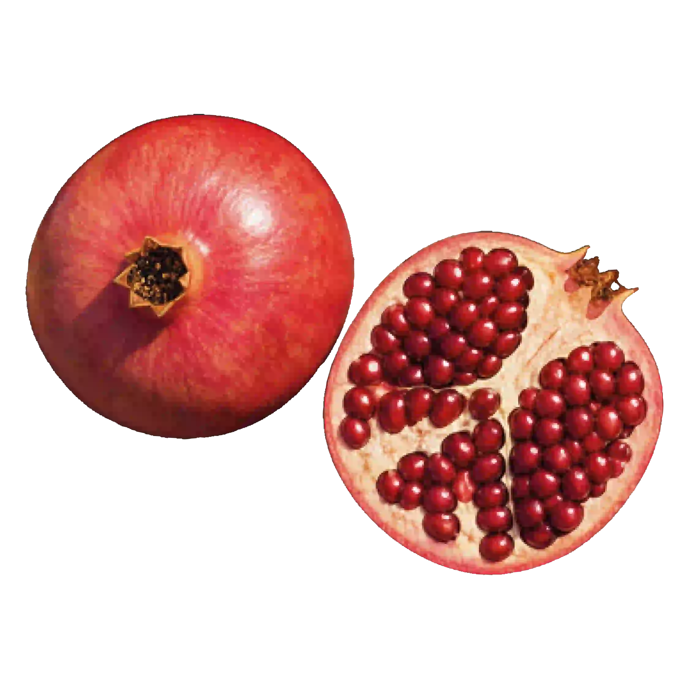 Kiwibeeren