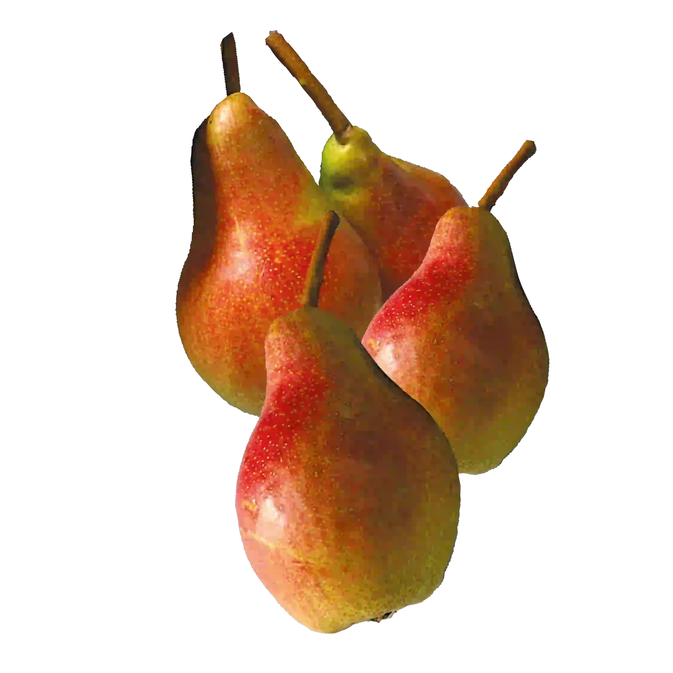 Kräutertopf
