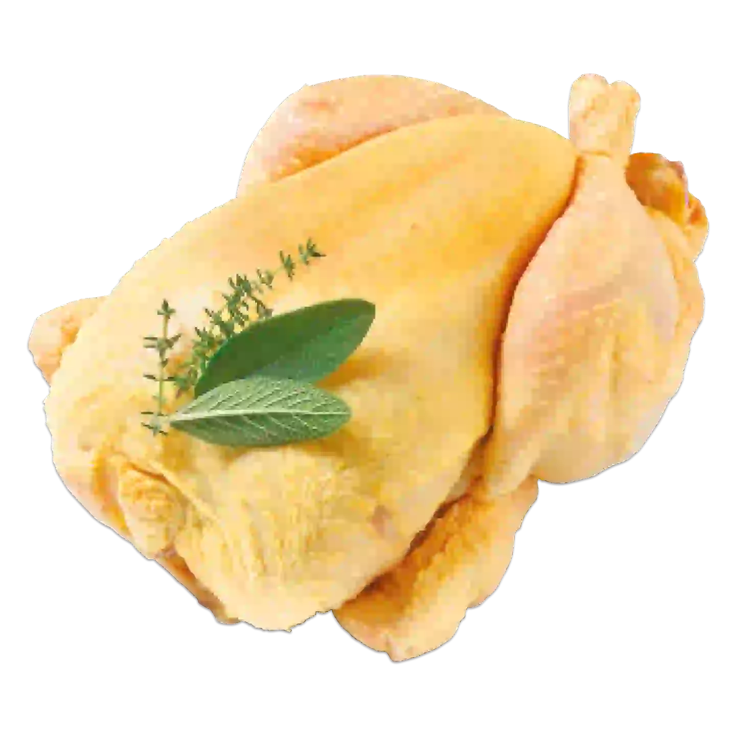 MEINE FLEISCHEREI Frische Putenschnitzel
