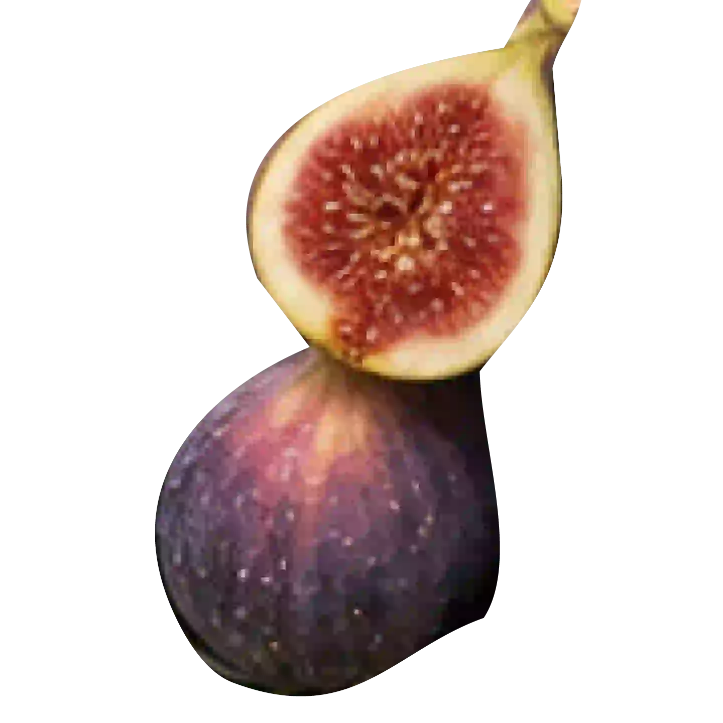 Mandarinen