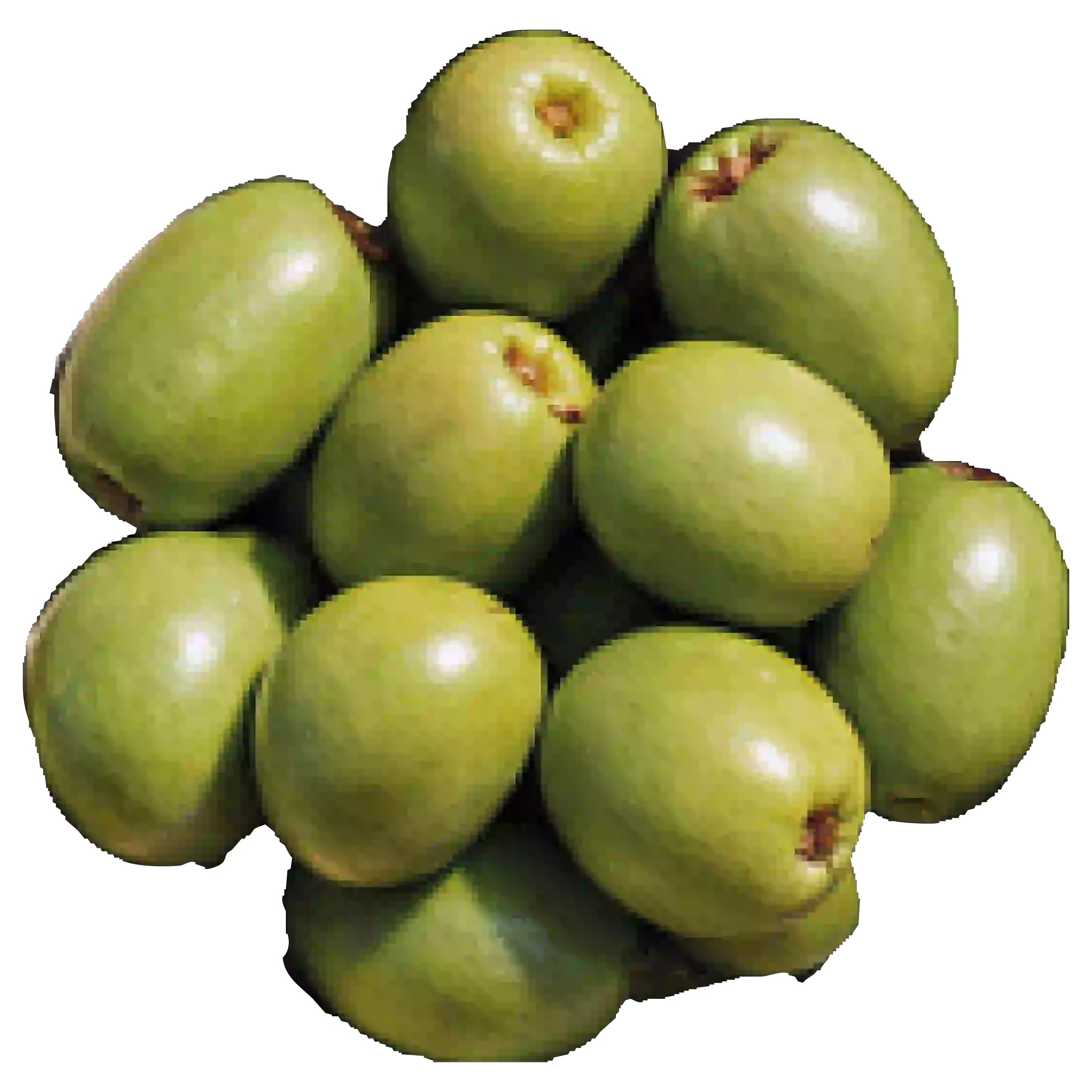 Mandarinen „Nadorcott“