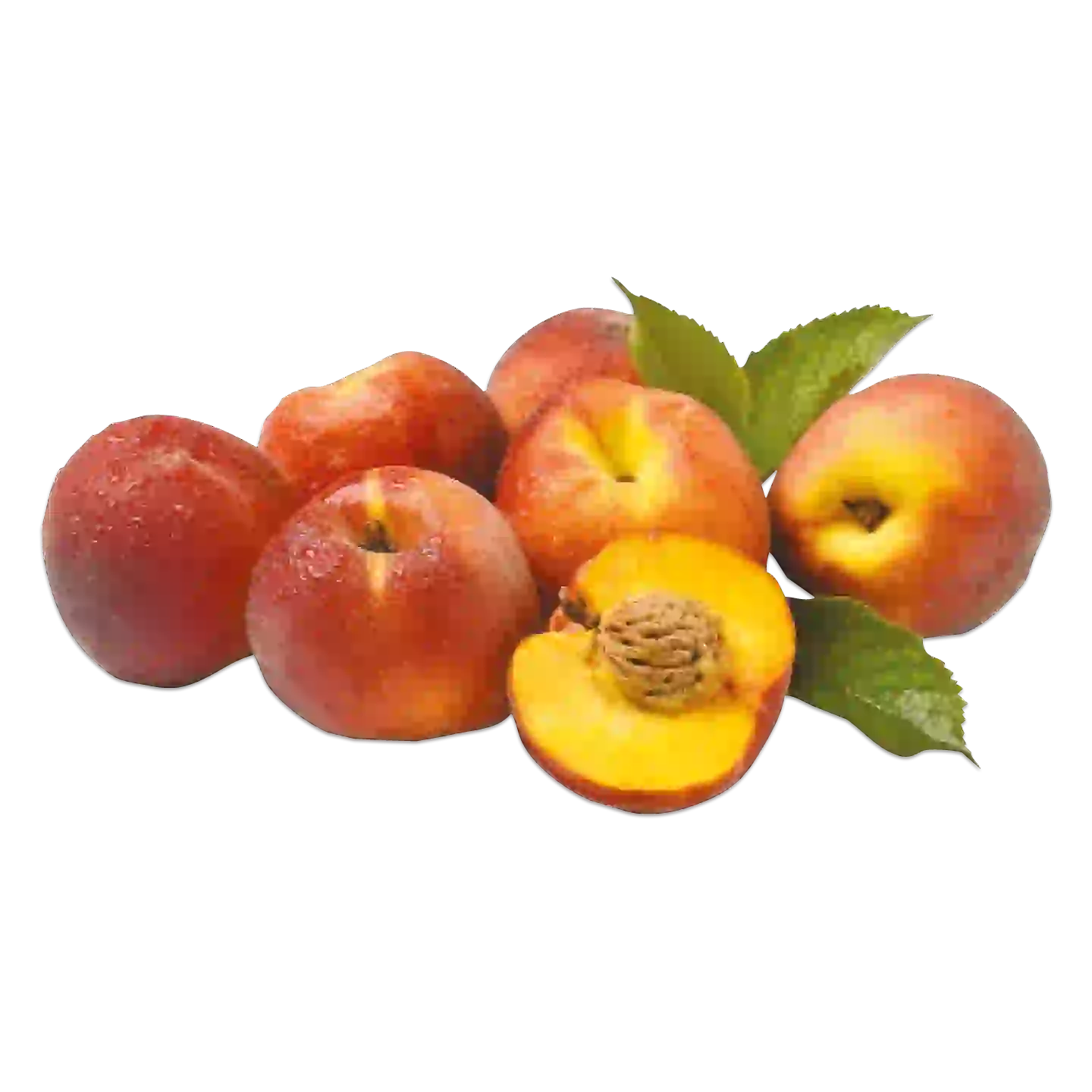 Paprika rot