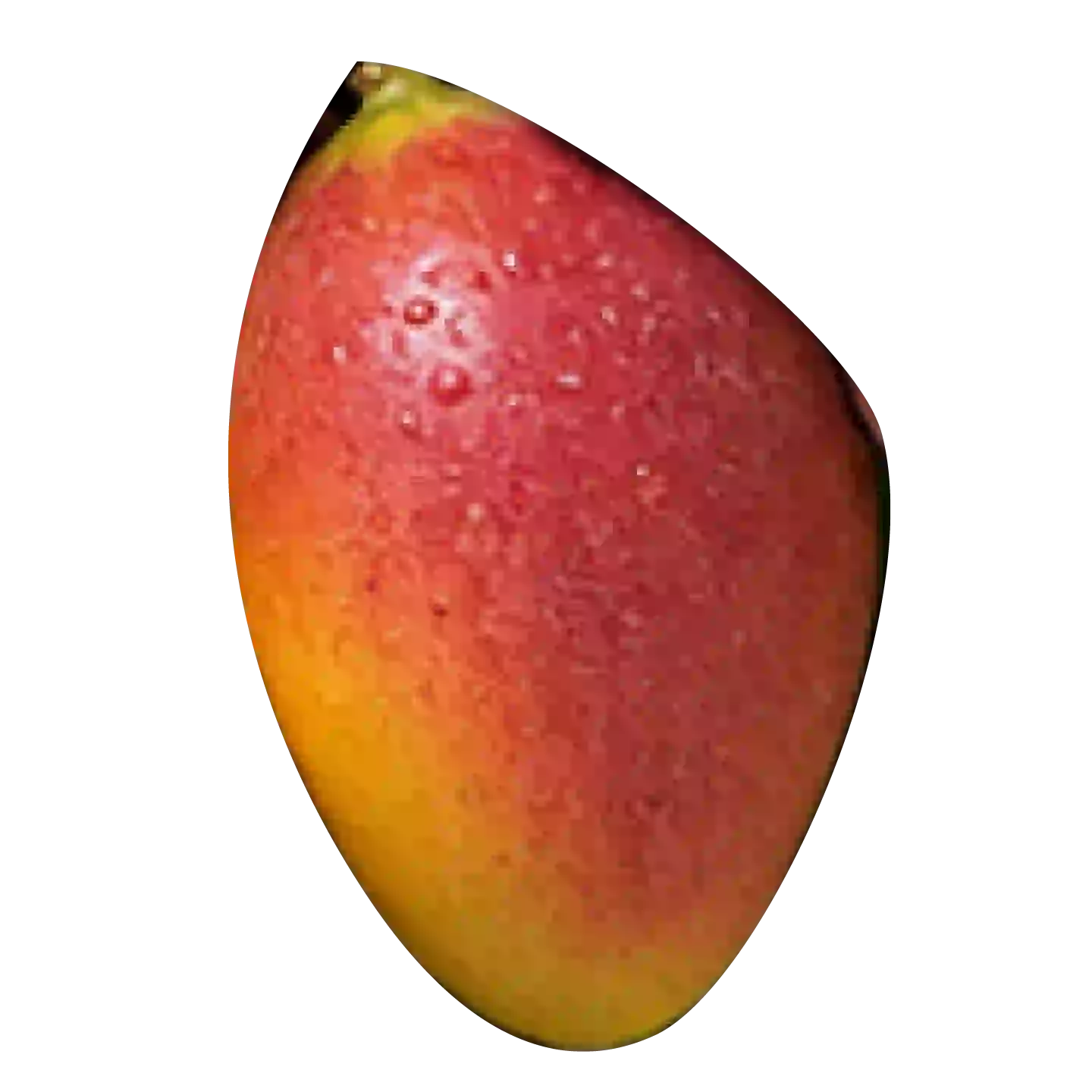 Passionsfrucht