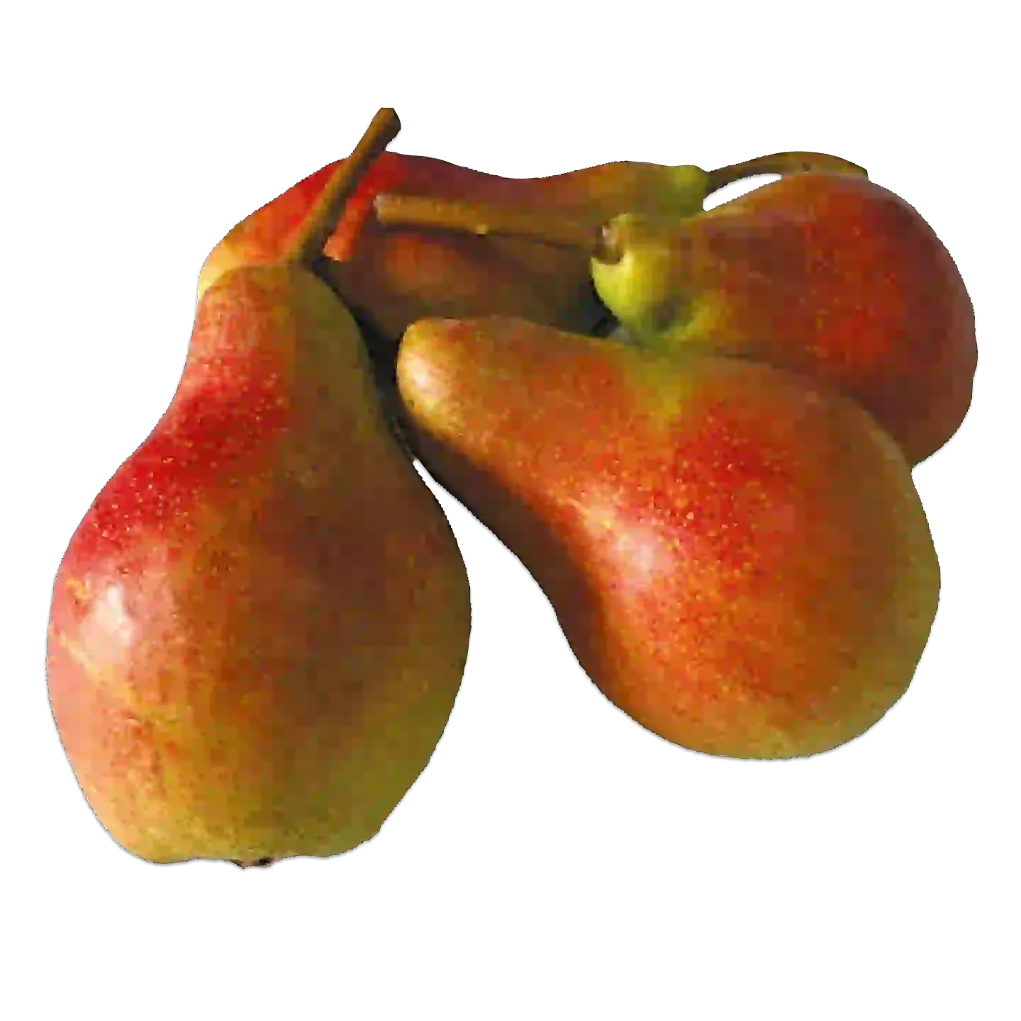 Pfirsiche