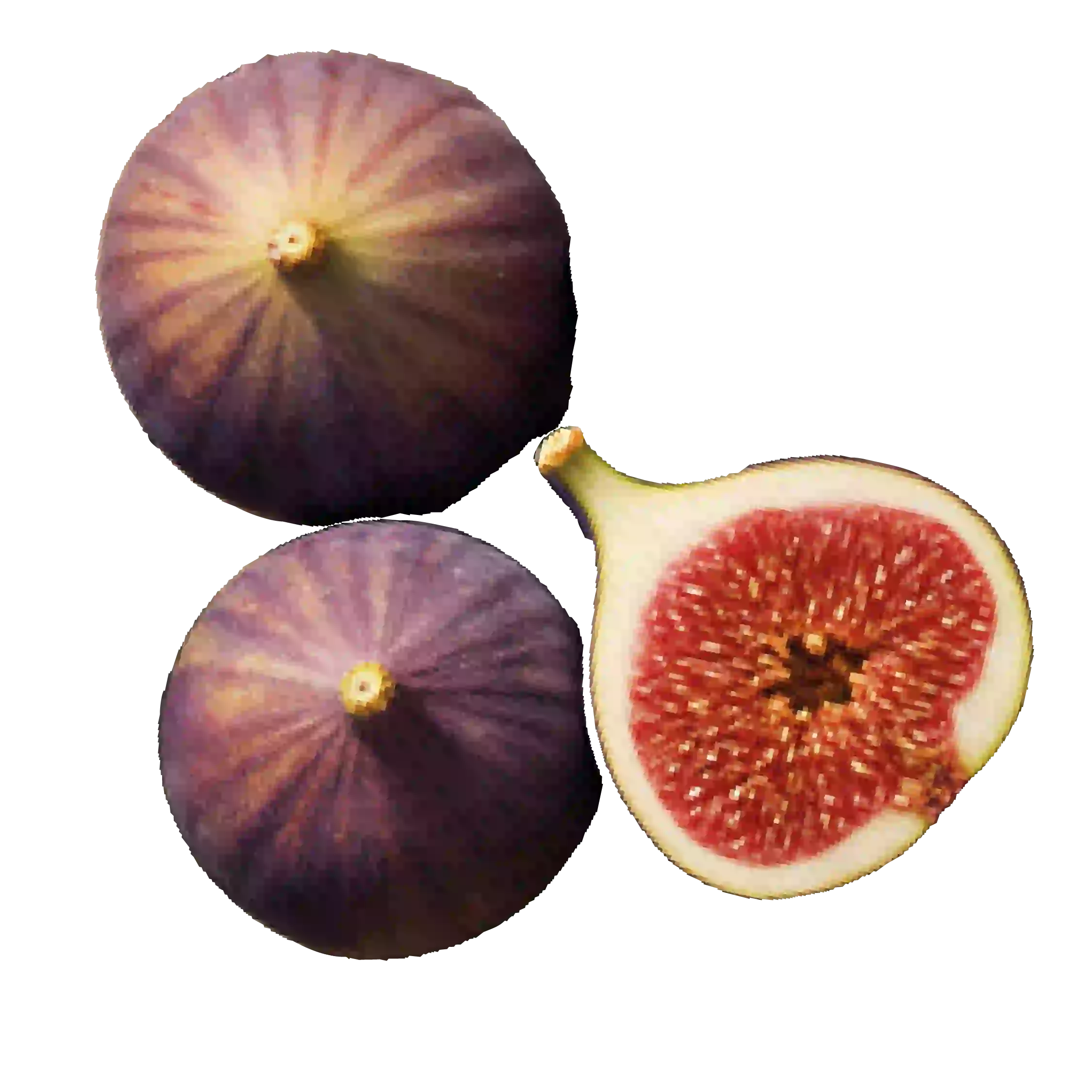 Pflaumen „Metis“