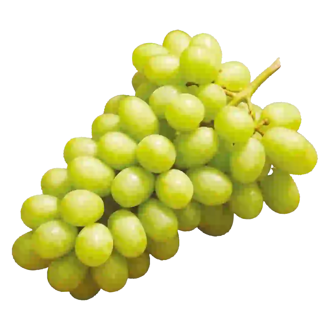 Trauben „Palieri“