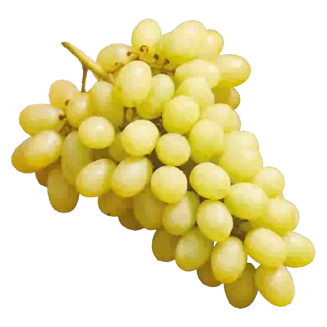 Trauben „Viktoria“