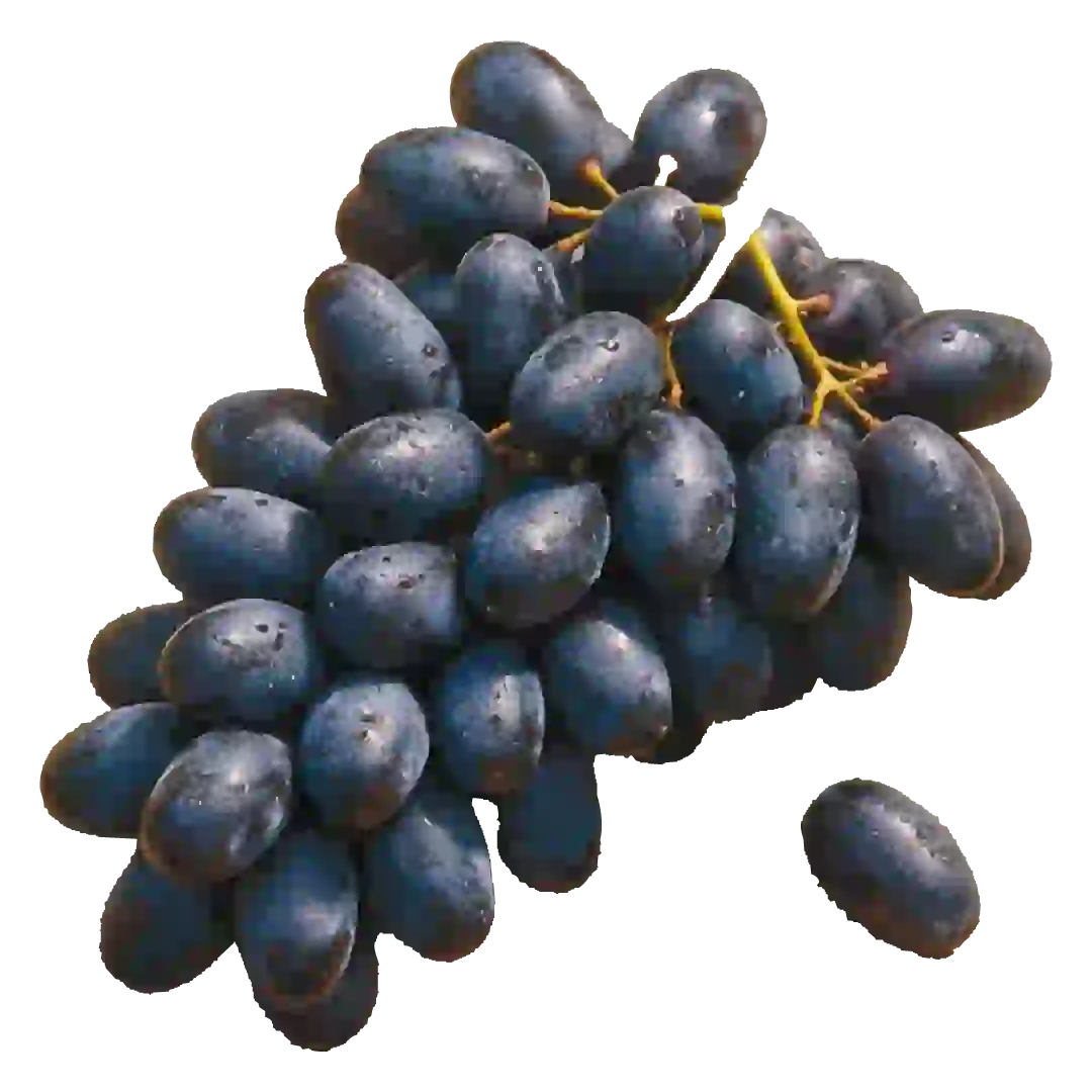 Trauben rot