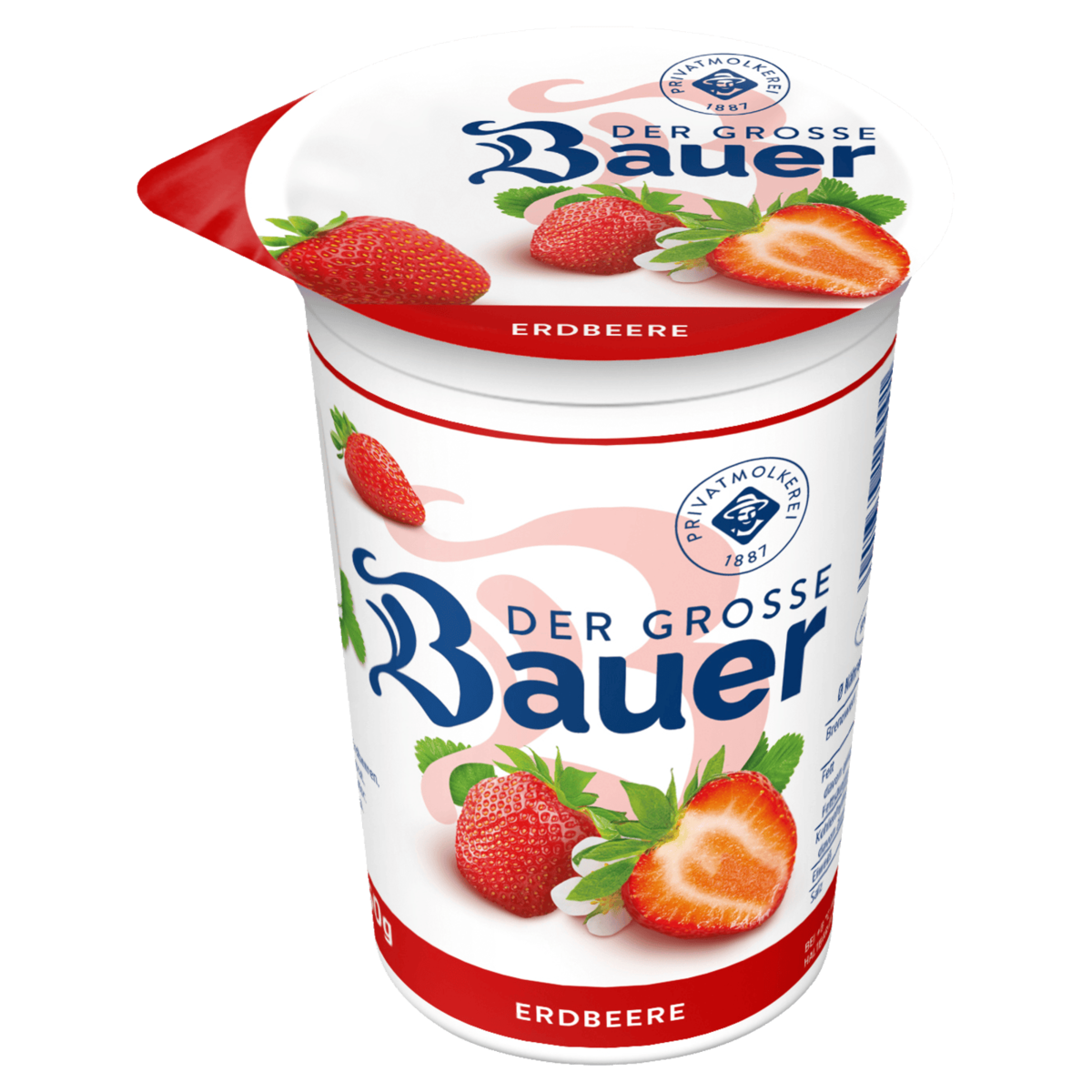 Bauer Der Große Bauer