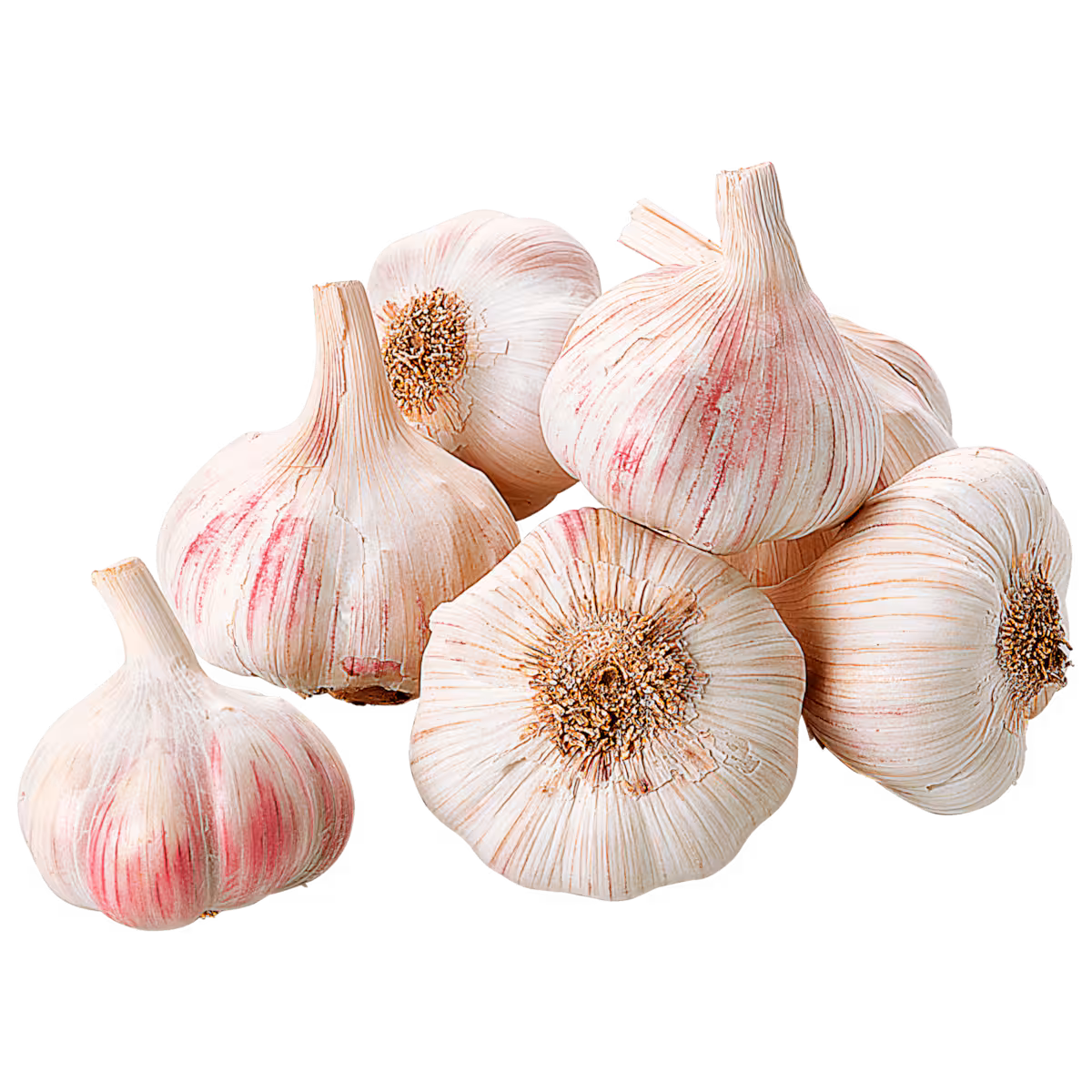 Knoblauch