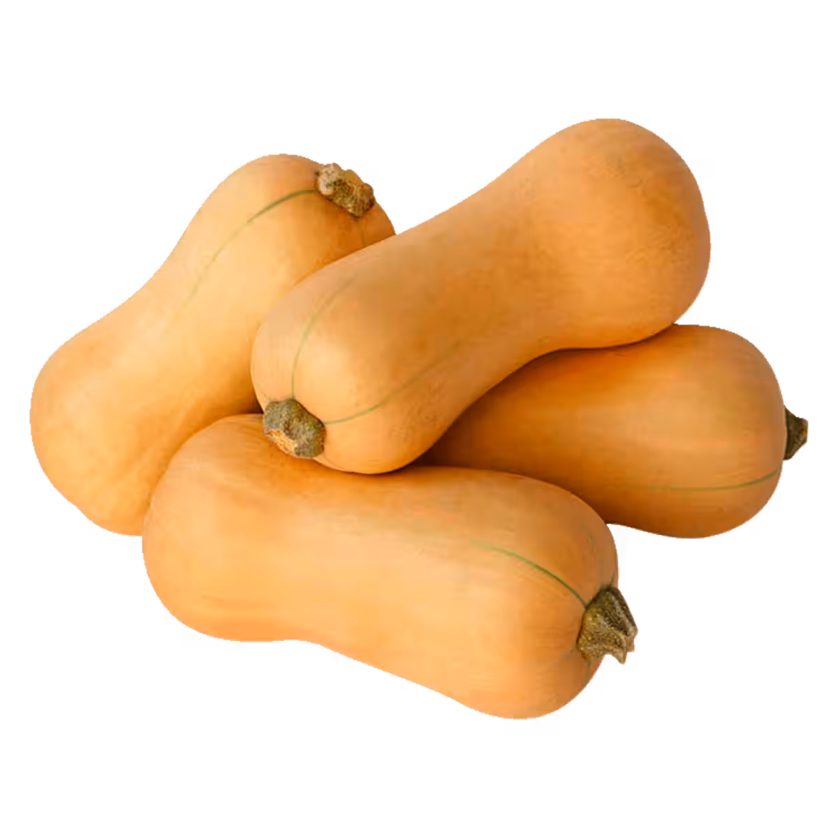 Bio Butternut Kürbis