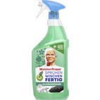 Meister Proper - Allzweckreiniger Spray Antibakteriell